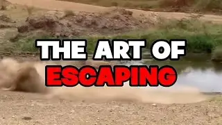 The art of escape 😱😨❤️&zwj;🩹