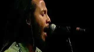 Black Cat - Ziggy Marley live at Couleur Cafe, Brussels (2011)