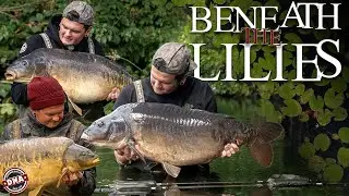 BENEATH THE LILIES &ndash; THE FULL CAMPAIGN | DNA BAITS | FEATURE-LENGTH FILM | CARP FISHING | 102 MINS