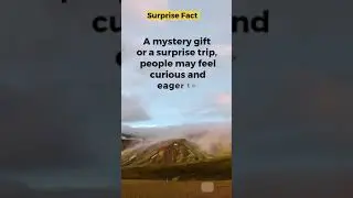 Curiosity If the surprise is something that piques people's interest or curiosity,such as a mystery