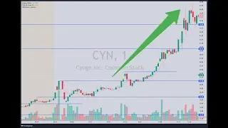 CYN, June 26, 2025. Low Float Parabolic Ignition