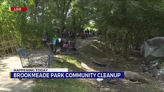 Community clean up at Brookmeade Park