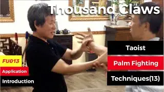Palm fighting techniques(13)   [Thousand Claws]