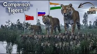 Tiger Population Comparison by Country (2025)