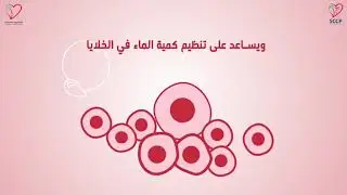 أهمية الصوديوم - The importance of Sodium - Saudi Heart Association - Arabic VO