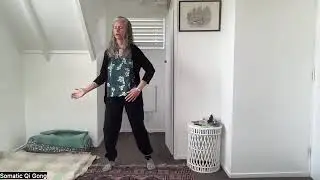 Somatic Qi Gong - Embody Now - Hips and Grounding