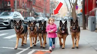 A Little Girl Walks Her Dogs Every Morning, Until People Discover She Hides a Shocking Secret!