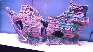 Karwar Marine Fish Aquarium(3)