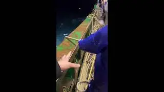 LIVE📹 | Net Fishing in the Pacific Ocean. #shorts #boat #fishing
