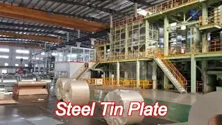 electrolytic tin plate coil for packaging 2.8g/m 5.6g/m coating options spte tfs