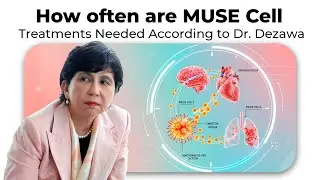 How often are MUSE Cell Treatments Needed According to Dr. Dezawa