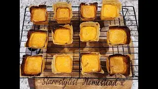 Portuguese Cheese Tarts