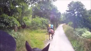 Boltby Trekking Centre: Twitch on the move