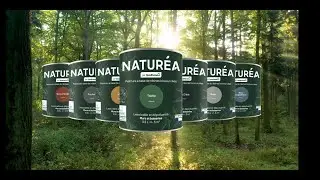 Découvrez la peinture à base de résines biosourcées Naturéa Goodhome - Castorama