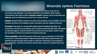 Free GED Science Course Lesson 11 | Human Body Systems