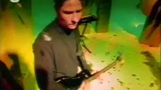 THE HEART THROBS - I Wonder Why (1990)