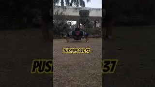 perfect pushups series day 37|before and after  pushups#fitness #gymworkout