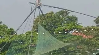 On the Kochi Cruise 