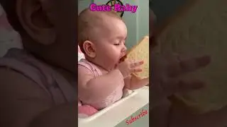 Delicious Adventures! Adorable Baby's Hilarious Attempt to Eat Bread | cute baby | Kids Tube