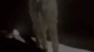&ldquo;Moon Landing&rdquo; Attempt 1