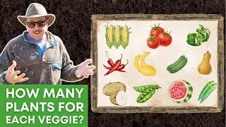 Exactly How Much to Plant for a Family Garden