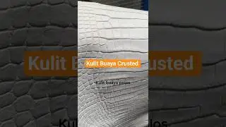 Kulit Buaya Polos #kulit buaya #exotic leather