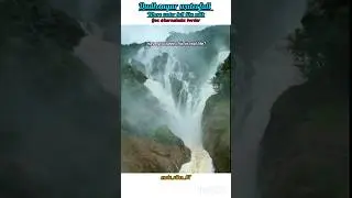 Goa ka Chhupa Hua Swarg 🌿💦 | Dudhsagar Waterfall I #india #goa