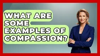 What Are Some Examples Of Compassion? - The Ethical Compass
