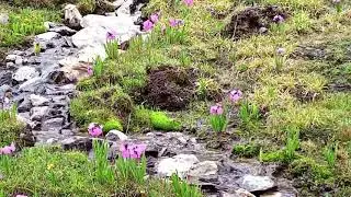 YOUGO VALLEY|||BEAUTIFUL NORTHERN AREAS|||SHARIF BALTISTAN TOUR|||