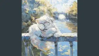 Relaxing Cats' Vibes