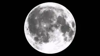 Violet Trip - Dance With The Moon