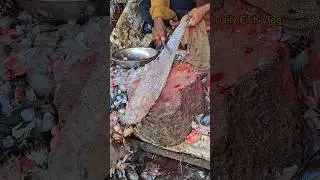 Amazing Bele Fish Cutting Skills 😲😲 #shorts #fish