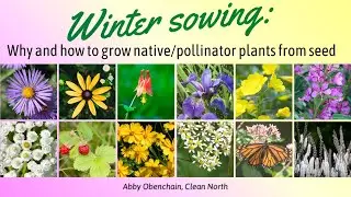 Winter sowing  Why and How to Grow Native Pollinator Plants From Seed