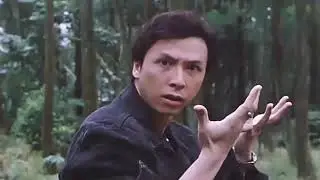 无意中翻到的甄子丹客串主演，看看有多少人能知道片名