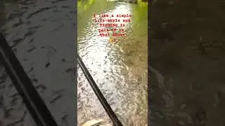 Creek Fishing #music #rock #fishing #creekfishing #redbreast #simpleman