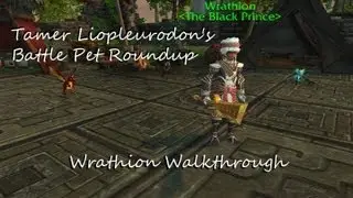 Wrathion - Celestial Tournament Walkthrough