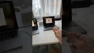 Как перенести данные с макбука #инвестиции #алексеймокров  #криптобот #заработоквинтернете #бизнес