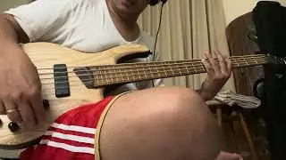 Cort B5 Element Bass Guitar 2024 Made in Indonesia Open Pore Finish