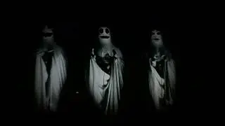 Boo Crew - Our Halloween Guests