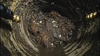 Best Professional Drain Cleaning Service in Blue Springs MO | Pioneer Springs Plumbing