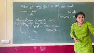 Vectors for cloning genes in plant and animals