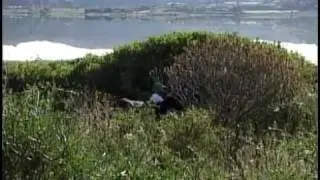 L'asino di Pantelleria - pt. I