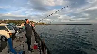 Tekirdağ Sahil - İzmarit Balığı #balıkavı #balıkavıvideoları #balık #shortsvideo #shortsviral