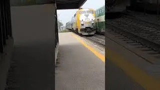 Via 45 meets EB Go train #train #viarail #trainmeet