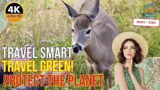 Sustainable Travel: The Ultimate Eco-Tourism Guide