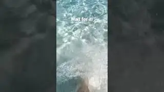 Der sch&ouml;nste Strand Europas?! Der Strand Cala Pira auf Sardinien ist die Karibik von Europa #urlaub