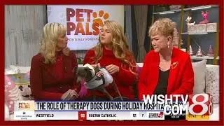 &laquo;Pet Pals TV&raquo; | Терапевтические собаки больницы Эскенази дарят утешение в праздничные дни