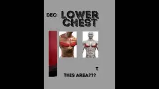 Lower Chest Exercises #gym #chestworkout #exercise #muscle #pump