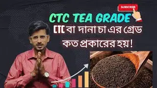 What is Grade In CTC Tea? দানা চা তে গ্রেড কত প্রকারের হয় । Tea Business l # Tea Beak