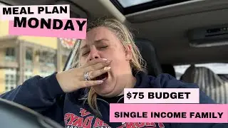 MEAL PLAN MONDAY | TIRED MOM EDITION | PULLING FROM RHE FREEZER | $75 WEEKLY BUDGET